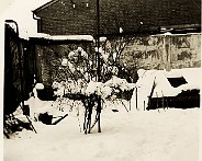 1955 Winter in Mierlo Hout