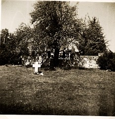 Kussnacht